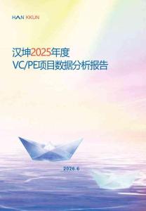 2025年度VCPE项目数据分析报告-汉坤