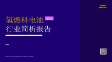 MCR嘉世咨询_2026氢燃料电池行业简析报告