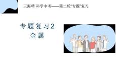 专题复习2金属