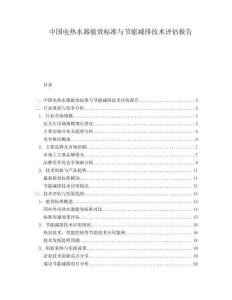 中国电热水器能效标准与节能减排技术评估报告.docx