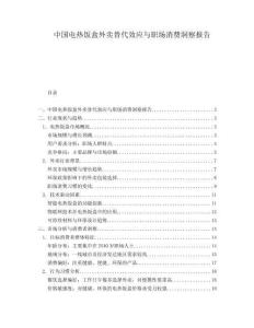 中国电热饭盒外卖替代效应与职场消费洞察报告.docx