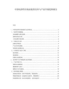 中国电饼铛市场家庭普及率与产品升级趋势报告.docx