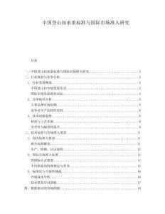 中国登山扣承重标准与国际市场准入研究.docx