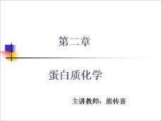 生物化学 2.蛋白质化学