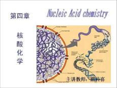生物化学 4.核酸化学