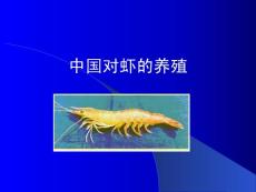 【生物课件】中国对虾