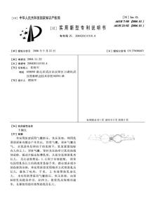 CN200420111518.4-丰胸仪