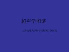 超声诊断学之---超声学图谱