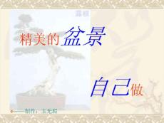 精美的盆景自己做