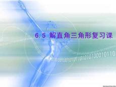 解直角三角形复习课