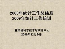 2008年统计工作总结及(1)