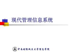 优秀课件 现代管理信息系统 chap1 PPT 1元