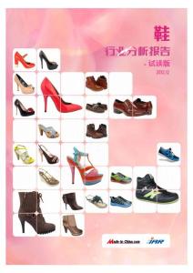 鞋行业分析报告-2012.12