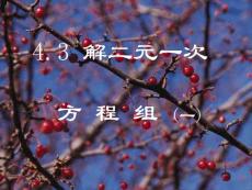 浙教版七下4.3解二元一次方程组1