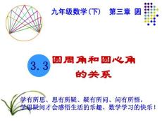 3.3 圆周角和圆心角的关系(1)