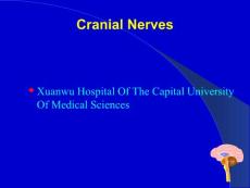 Cranianerve颅神经解剖及症状