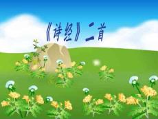 诗经二首