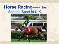 马术：英国的第二大运动 Horse Racing