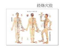 12经络  易经