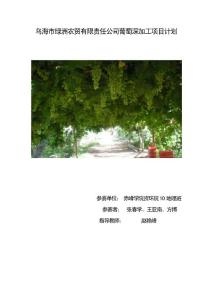 葡萄深加工项目建议书可行性方案