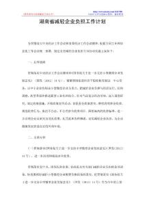 湖南省减轻企业负担工作计划