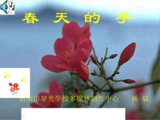 春天的手[小学语文课件 PPT课件 教学课件]