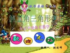 解直角三角形复习课
