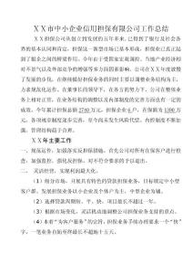 中小企业信用担保有限公司工作总结