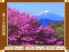 图片欣赏富士山和樱花