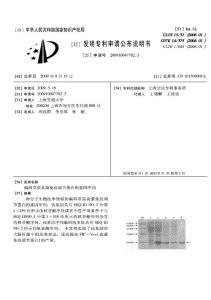 草菇深加工技术专利资料汇集