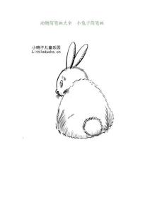 动物简笔画大全  小兔子简笔画