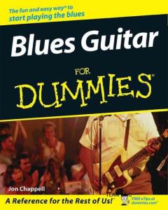 布鲁斯吉他Blues Guitar For Dummies