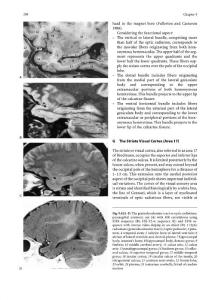 脑MRI图集高清英文版 - J. C. Tamraz, Springer, 2006_部分21