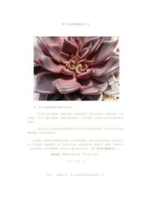 (转)常见多肉植物介绍(2)