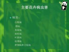 主要花卉病虫害