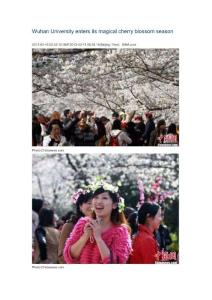 英语新闻阅读-Wuhan University enters its magical cherry blossom season