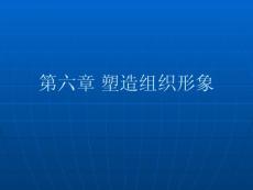 第六章塑造组织形象