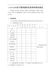 小额贷款公司关于薪资福利及发放的相关规定