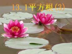 13.1平方根(平方根)3