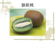 猕猴桃（Yangtao Kiwifruit）