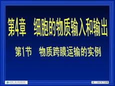 200710-31第一节物质跨膜运输的实例