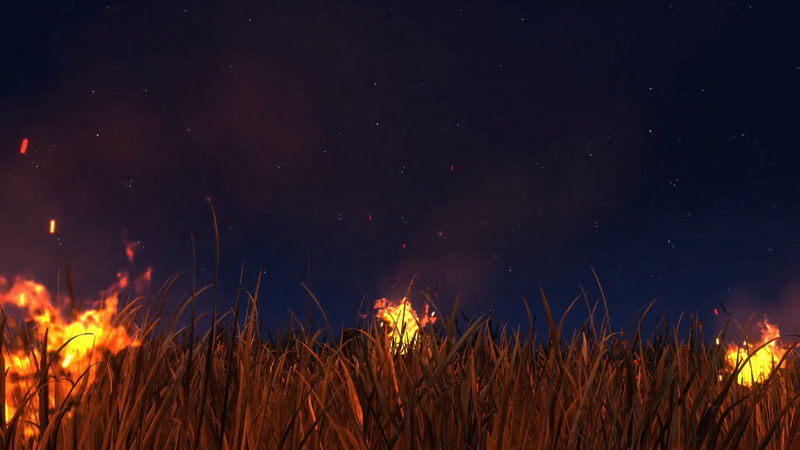 夜空里燃烧的野草