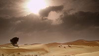 干旱沙漠风景风光视频素材