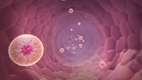 药物治疗癌症三维动画医疗视频素材