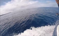 海洋之旅视频素材