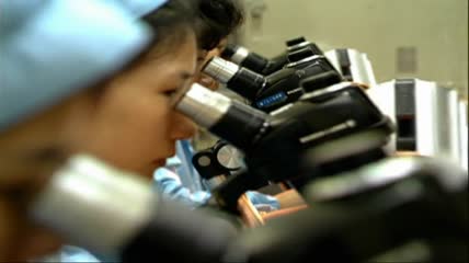 科技人员研究 显微镜视频实拍素材