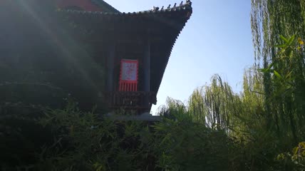 古风建筑中国风绿植实拍视频