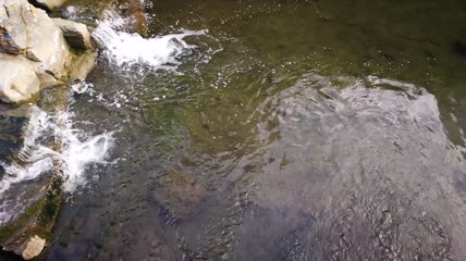 河流清水风景实拍视频