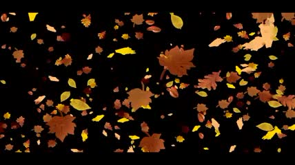 树叶飘落动画视频素材