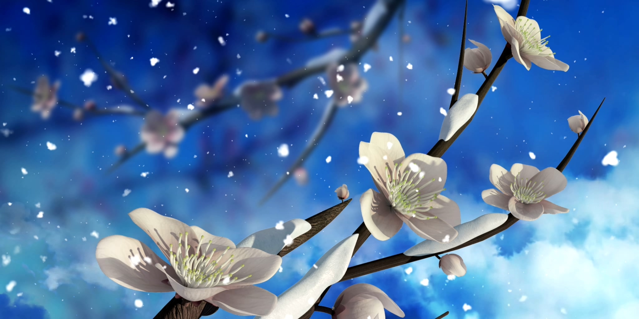 白色梅花冬季视频素材背景